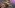 Borderlands 4 vs. Borderlands 3 – 15 Big Differences